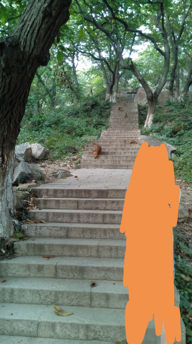 花果山自驾二日游攻略,花果山一日游攻略