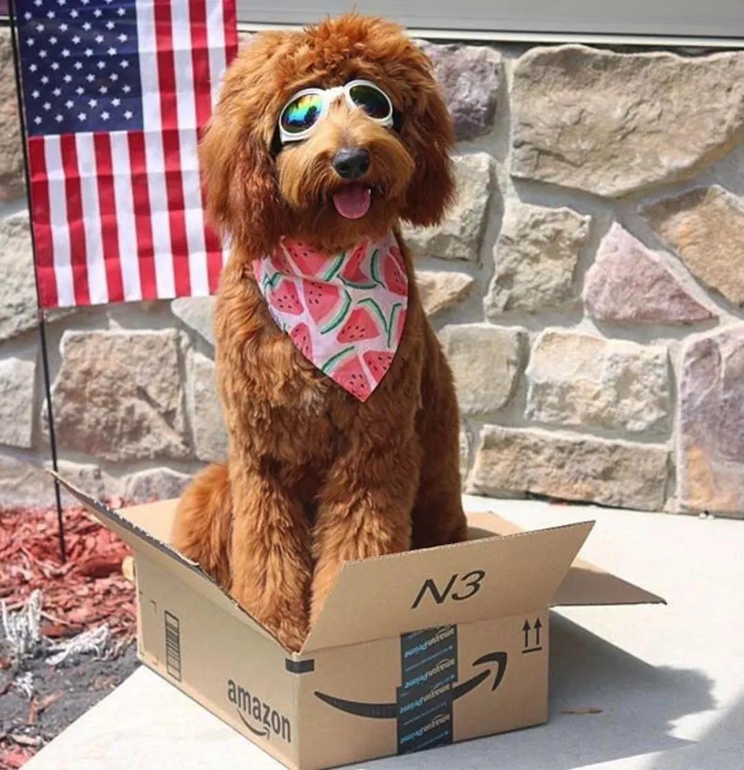 亚马逊fba收费如何计算,亚马逊fba配送费最新计算方法