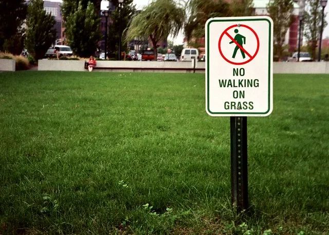 幼儿园人造草坪维护与保养,修剪维护草坪需要什么工具