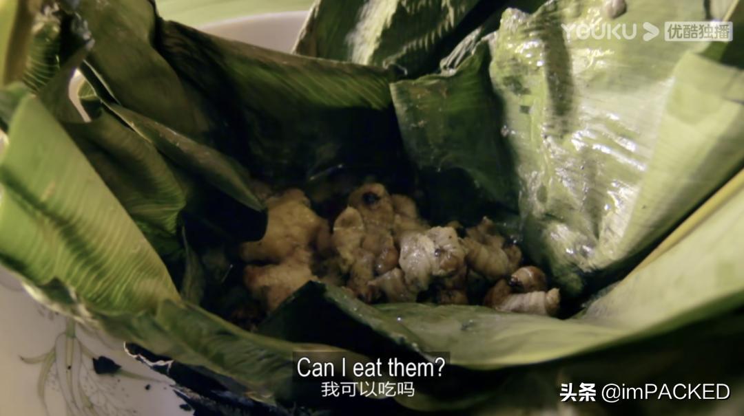 RobGreenfield的#不花钱旅行#玄学