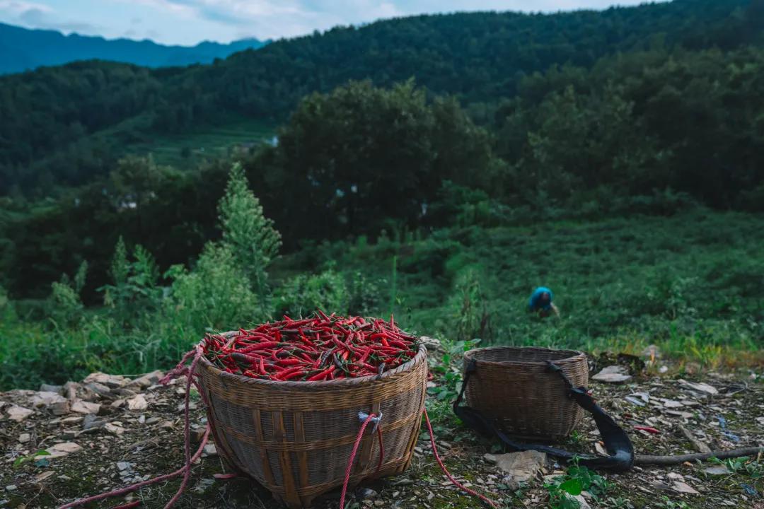 波澜壮阔的美景,波澜壮阔的壮丽篇章