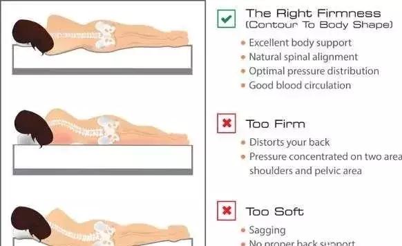 床垫怎么选，才睡得最舒服？
