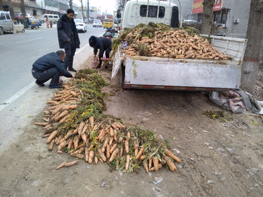 农村赶大集摆地摊可以做的小生意,豫东的农村春节赶大集