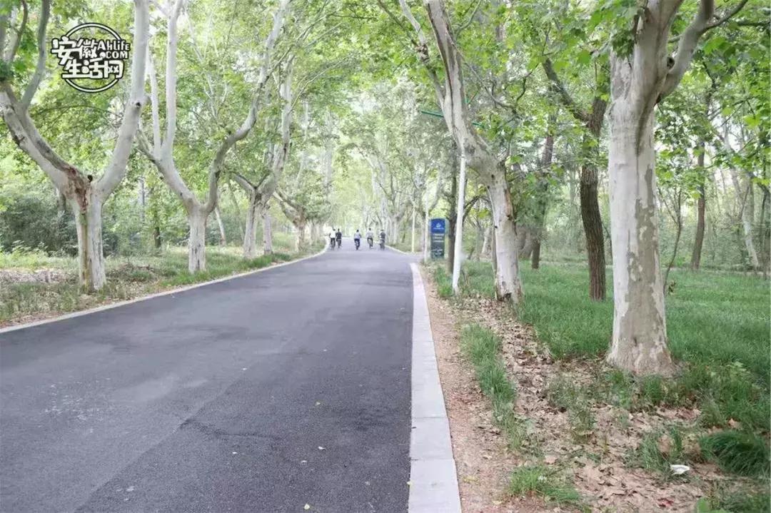 2022合肥必去的13个免费景点,合肥一日游景点推荐排名最新