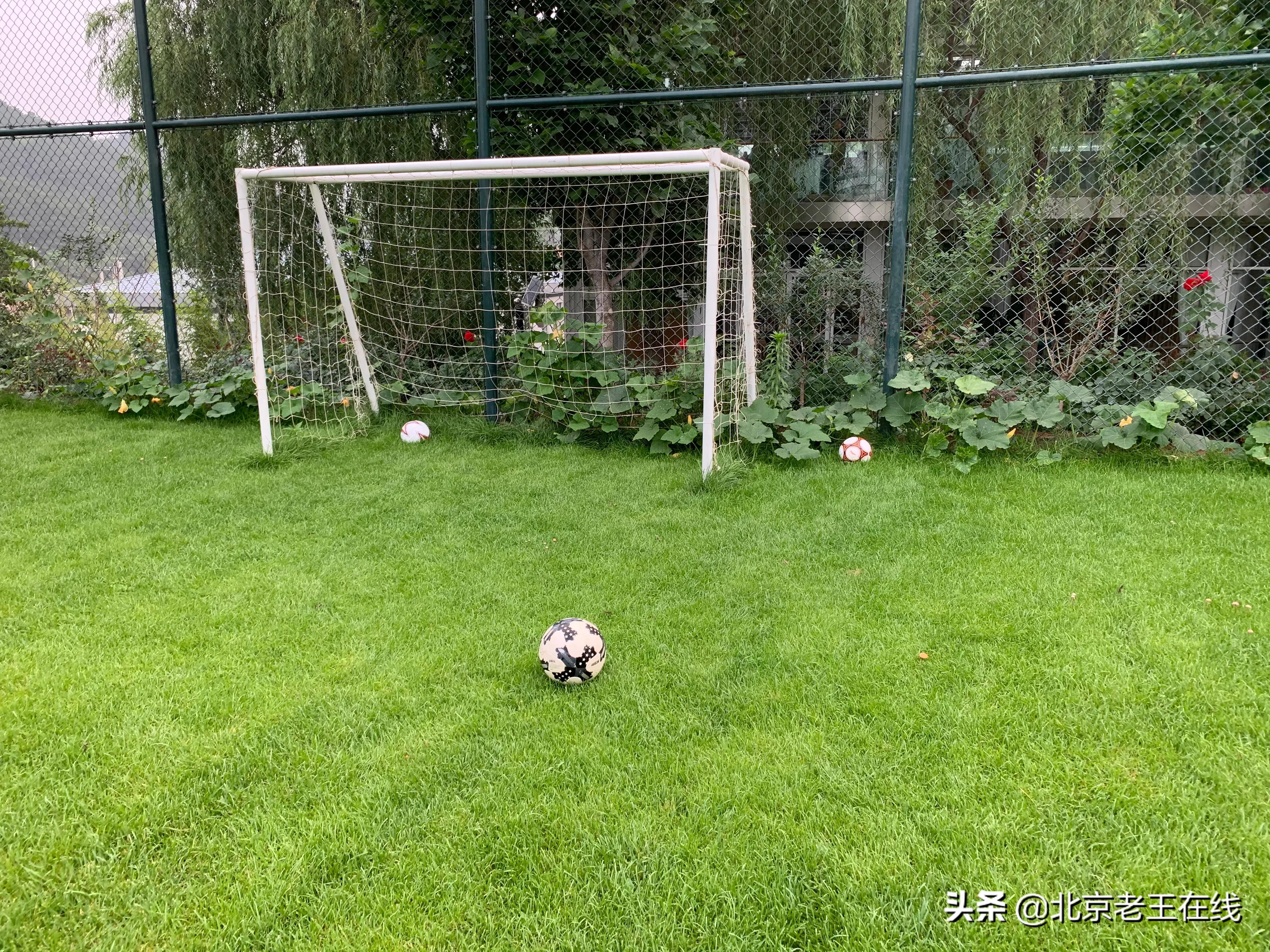 密云深山有什么好玩的地方,密云野游的好地方