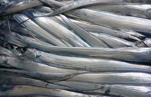 带鱼价格为什么差别很大,为什么超市的带鱼段价格差这么多