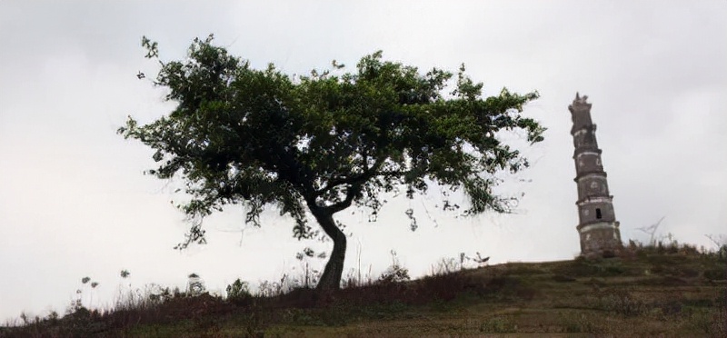 广西宾阳县武陵镇好玩的景点,广西宾阳县旅游景点