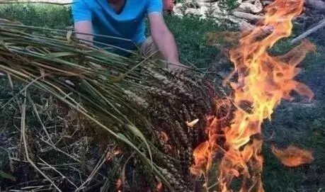 这些奇葩口味的披萨你都尝了吗,那些反人类的奇葩发明