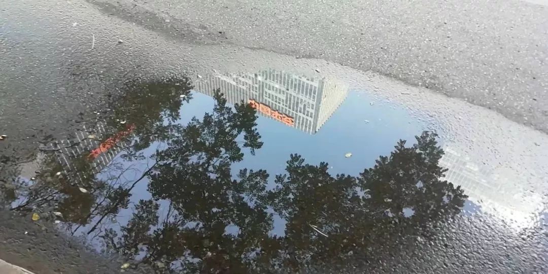 杨迪年少心酸,杨迪上位之路