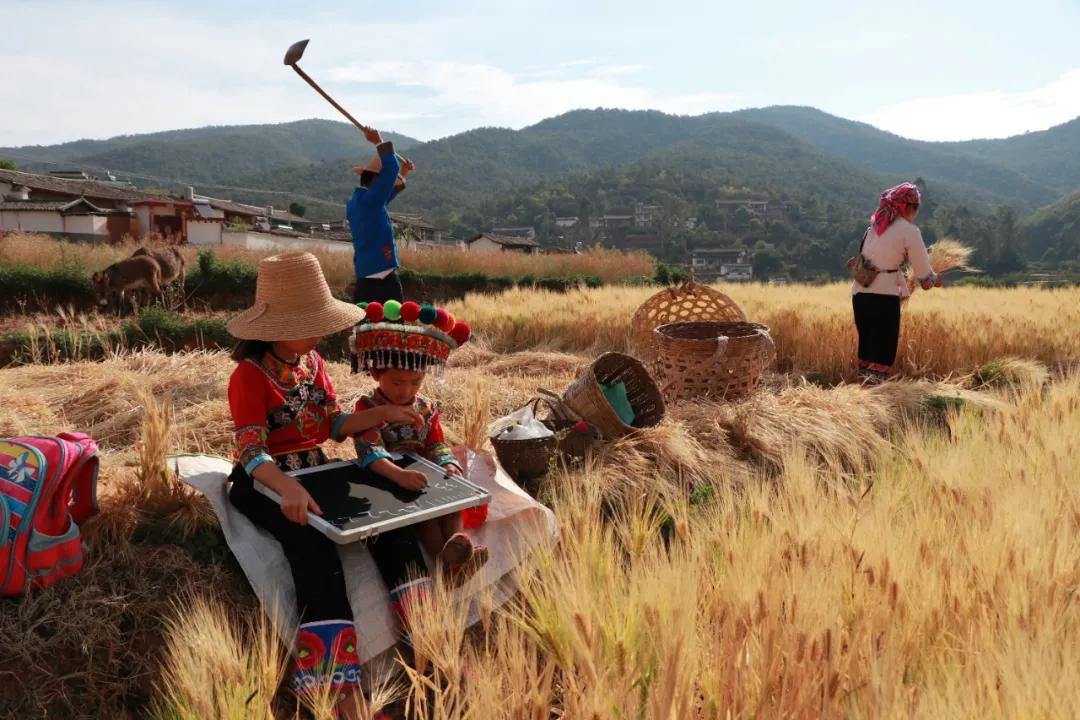 走向我们的小康生活9张海报,幸福新时代主题摄影作品