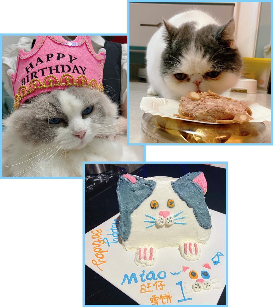 生日蛋糕款式分享,适合大家的生日蛋糕