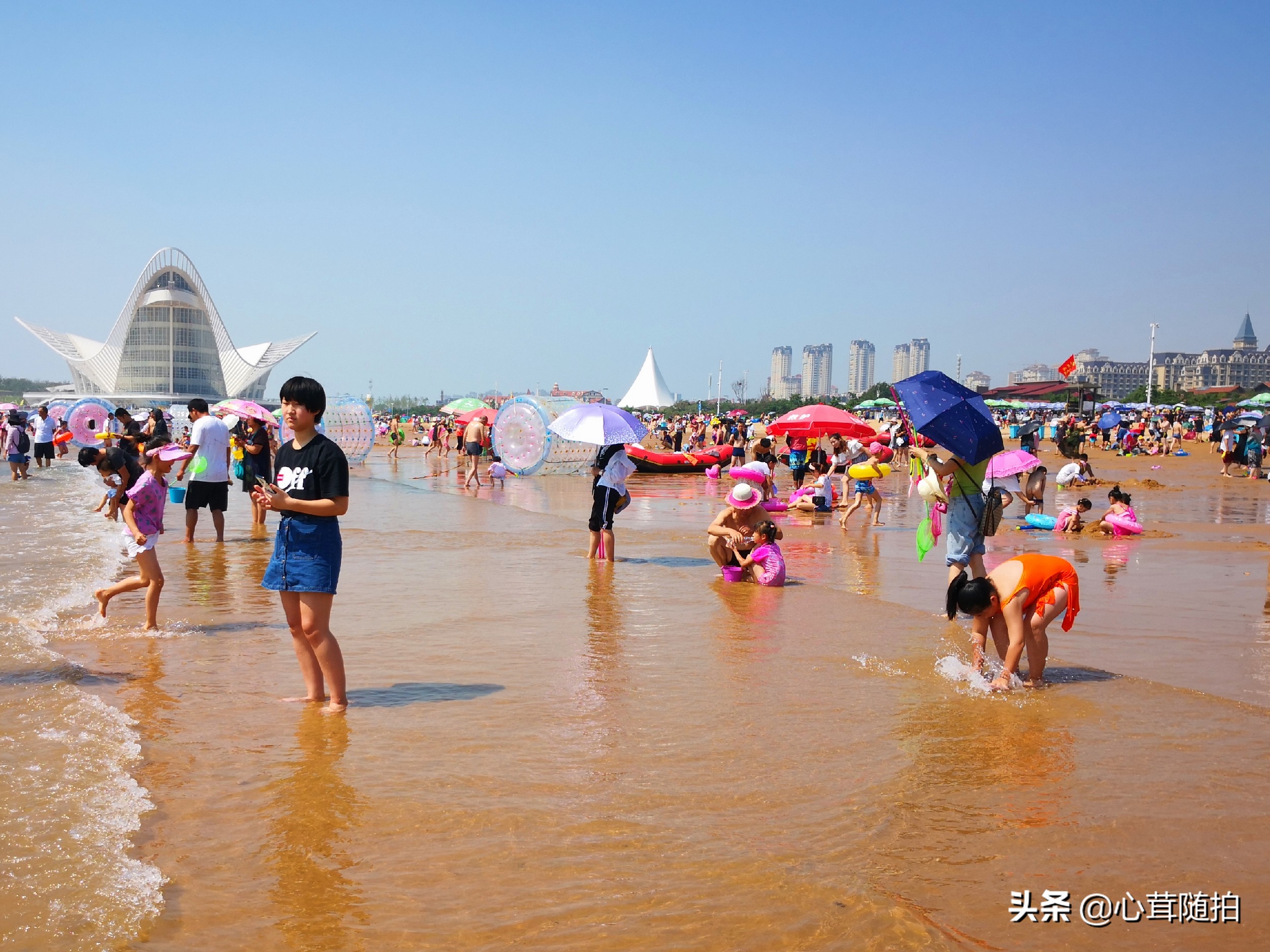青岛市的金沙滩,金沙滩海边生活