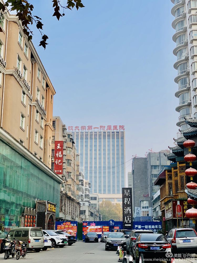 涧西牡丹广场老照片,洛阳牡丹手机拍照