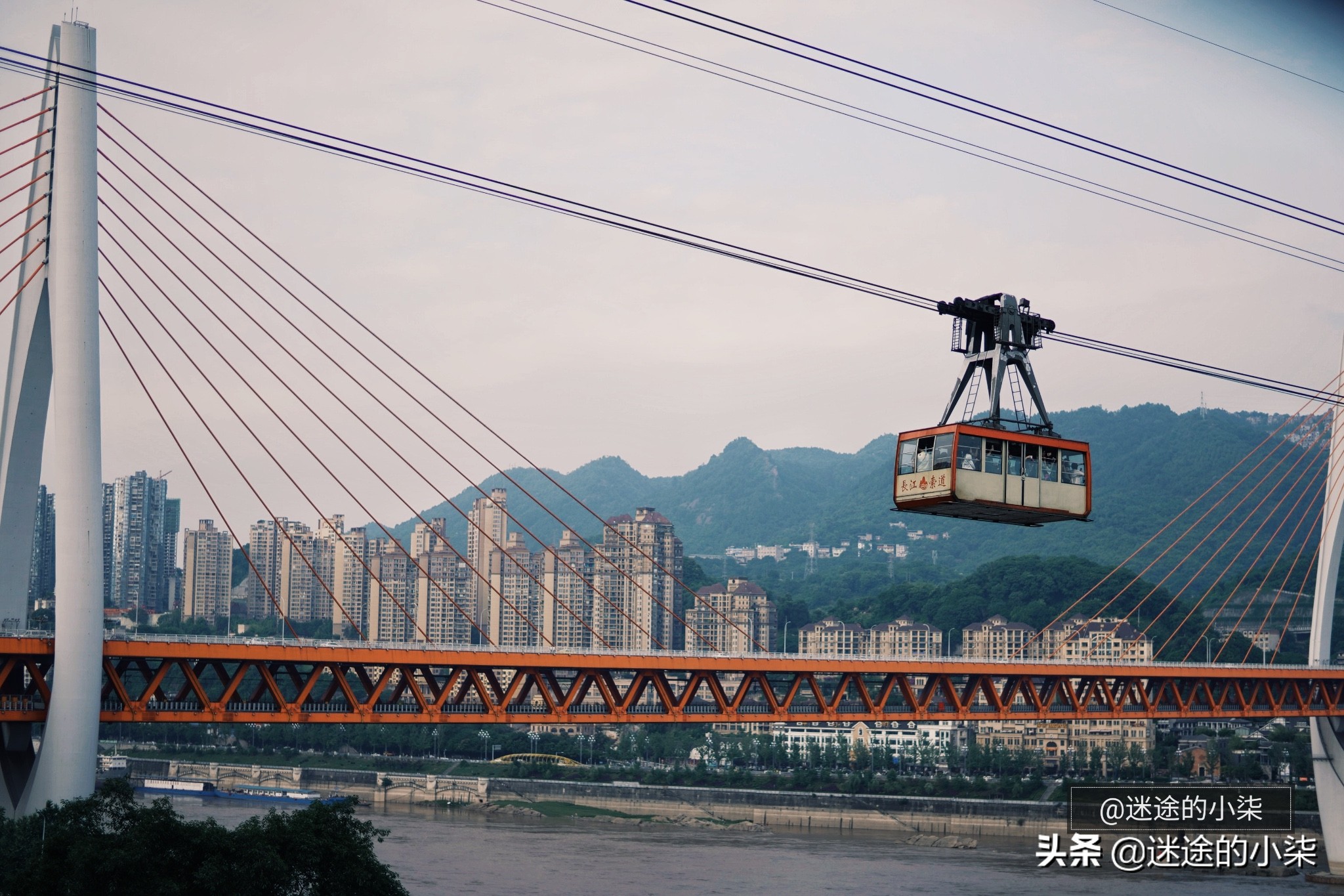 重庆哪家牛排最好吃,重庆惠灵顿牛排