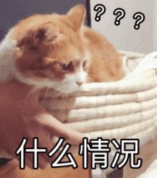 使用顺丰快递寄公文属于违法,顺丰快递寄发文件有法律效力