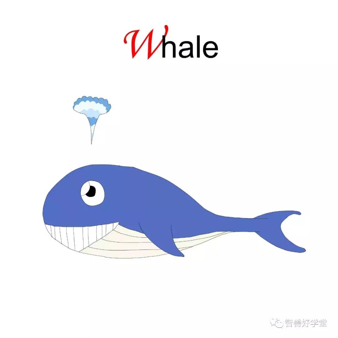 26个英文字母正确发音快速记忆法,26个英文字母数字记忆法