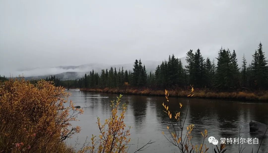 跟着老白行走加拿大，育空Watson Lake、BC省Northern Rockies