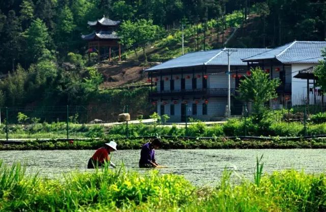 康养之城,康养之城图