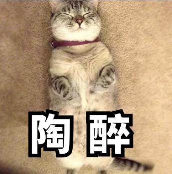 创业遇见了一群很好的人,创业的时候有无数次想放弃