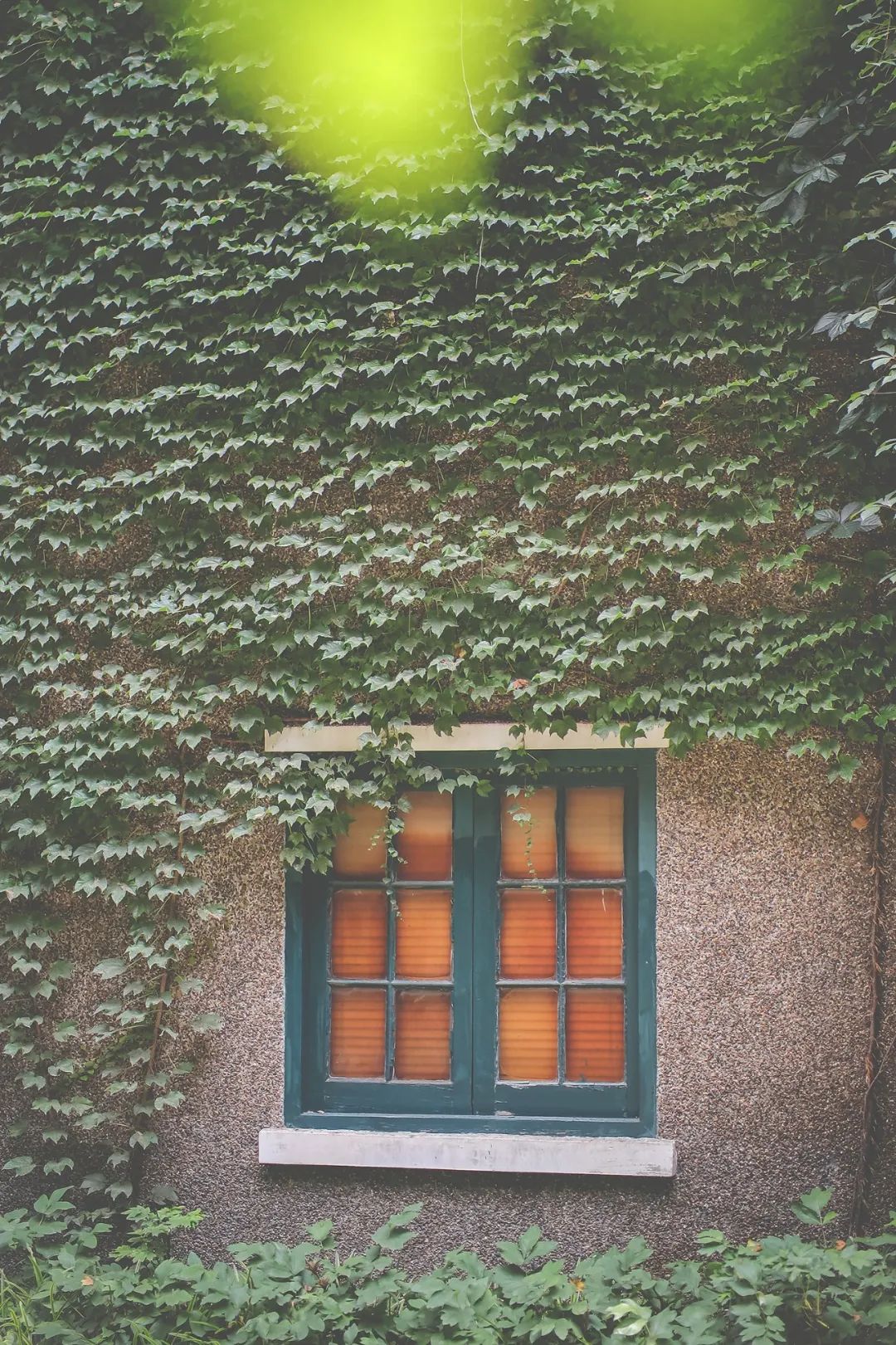 上海国庆小众旅行攻略路线图,上海出发国庆旅游攻略推荐