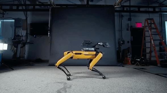 50涓囦竴鍙皬鍨嬫満鍣ㄧ嫍,16000鍏冩渶渚垮疁娉㈠+椤垮姩鍔涙満鍣ㄧ嫍