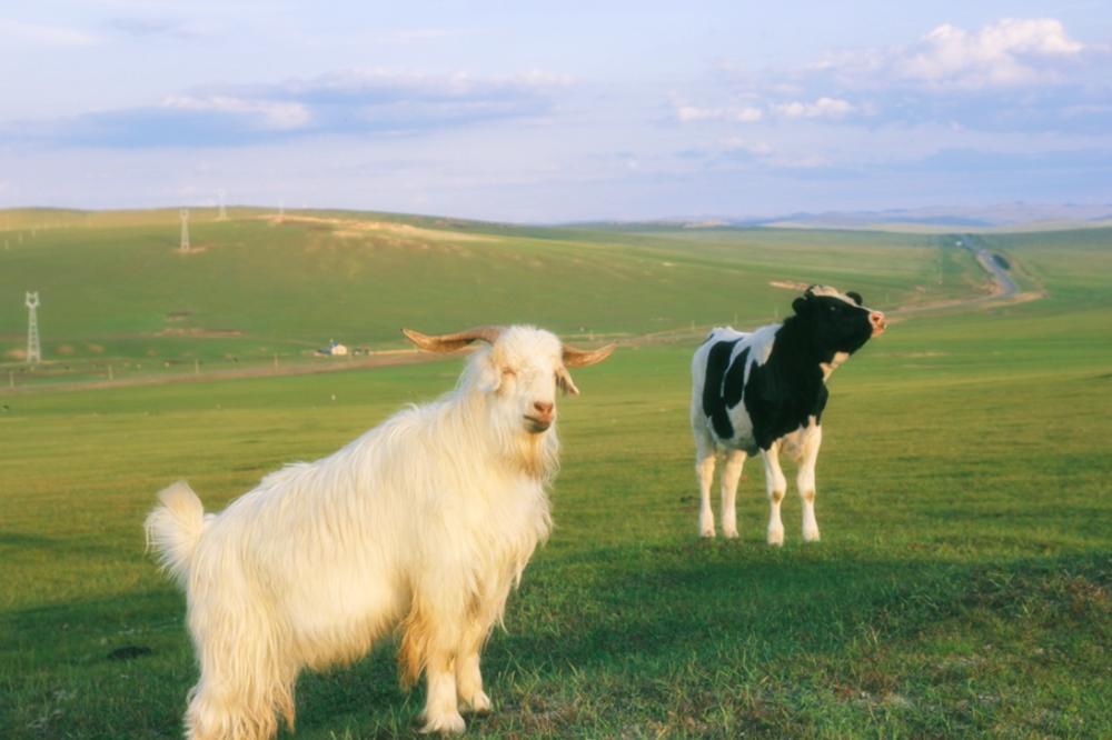 怀孕流出来的液体是尿还是羊水,孕期怎么分清尿液和羊水