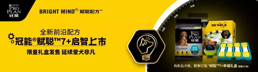 皇家跟冠能的优势,冠能真的好吗