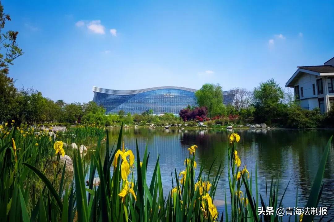 成都限购对青海的影响,成都限购后想买房怎么办