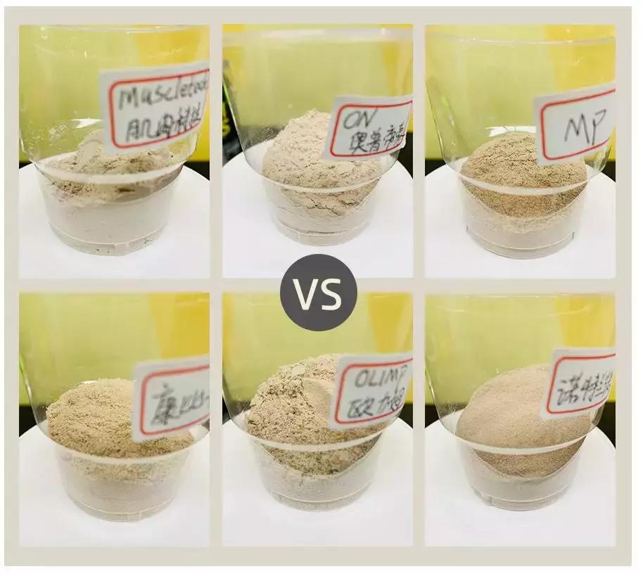 新手增肌增重选什么品牌的增肌粉,增肌必备干货