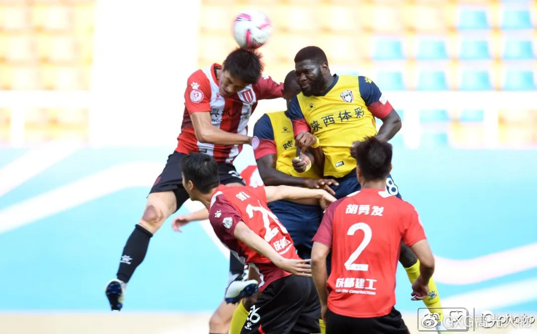 西北狼vs西伯利亚狼,西北狼vs犀牛