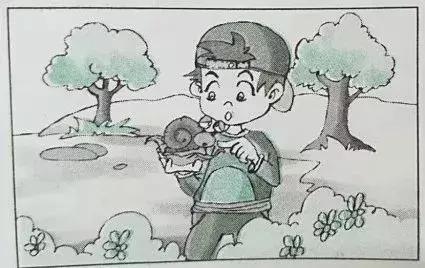 二年级看图写话38篇+范文，写话小达人，非你莫属