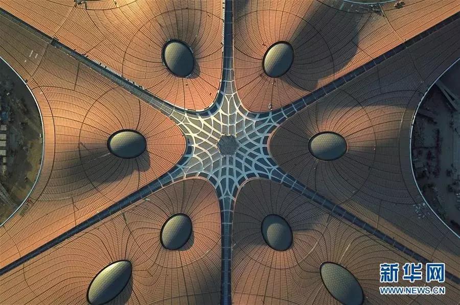 这牛太厉害了,这哥们太牛了