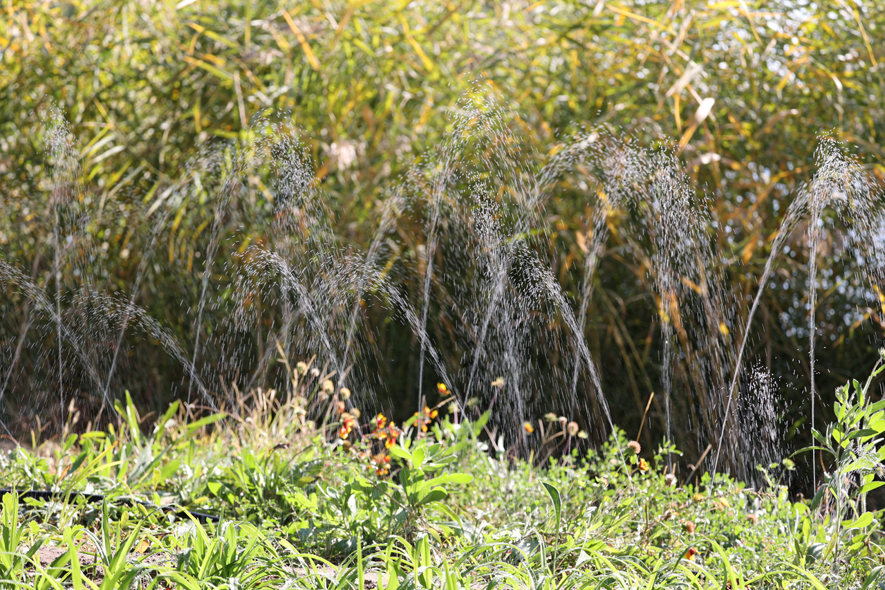 佳能rf100-500mm参数,佳能rf-s18-45mm测评