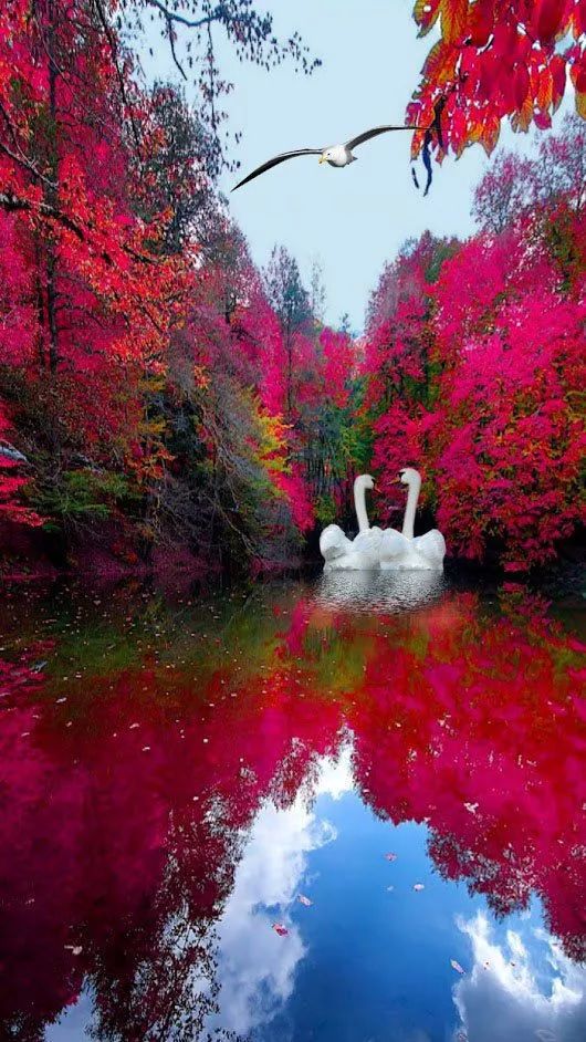 世界是你的也是我的但终归是你的,世界是你的也是我们的