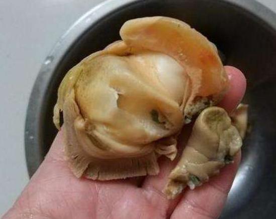 海螺吃生蚝事件,吃20斤大海螺