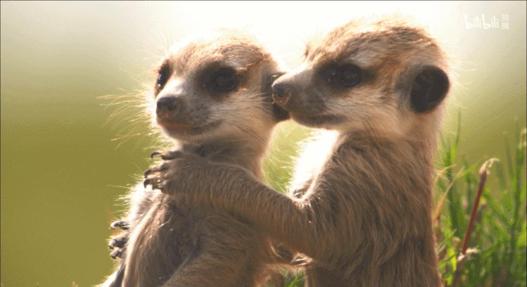 豆瓣评分9.5以上的国产电影有哪些,十部顶级神片推荐