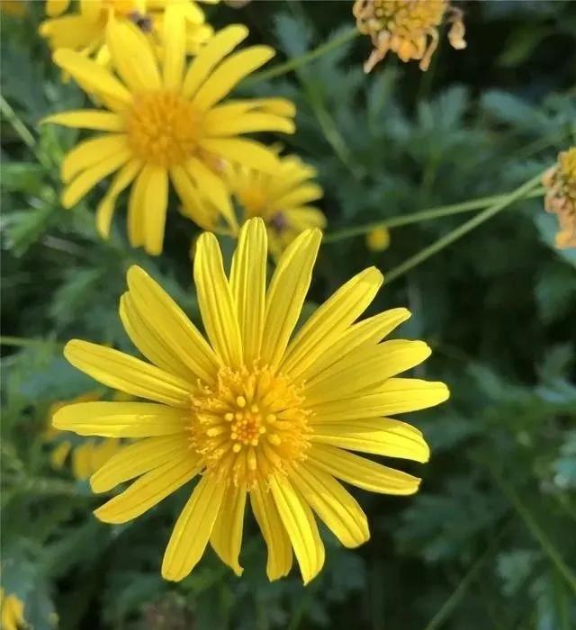 静是一种力量一种福气,西双版纳这边旅游