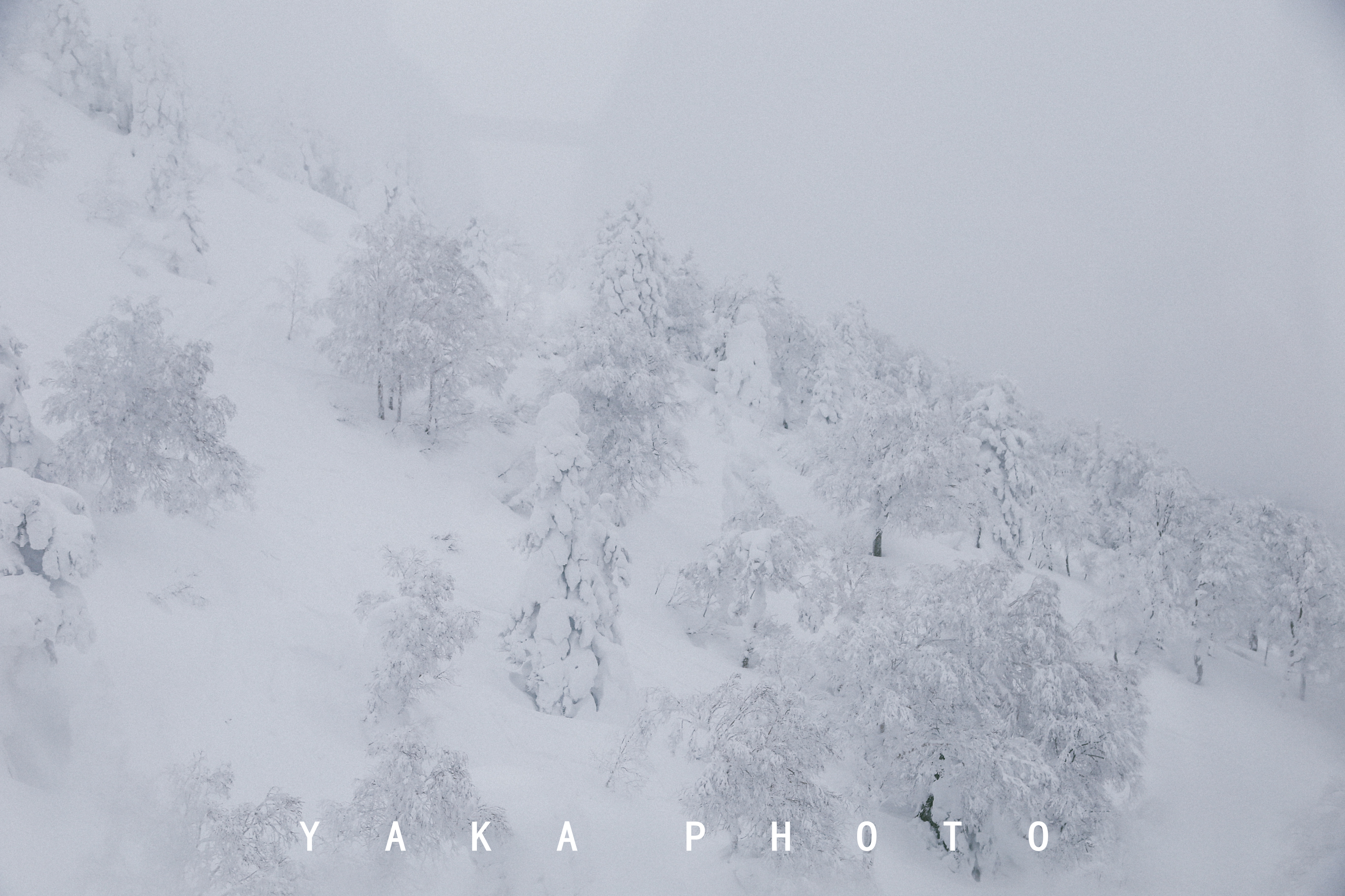 日本青森睡魔祭的寓意,青森星野度假村睡魔祭