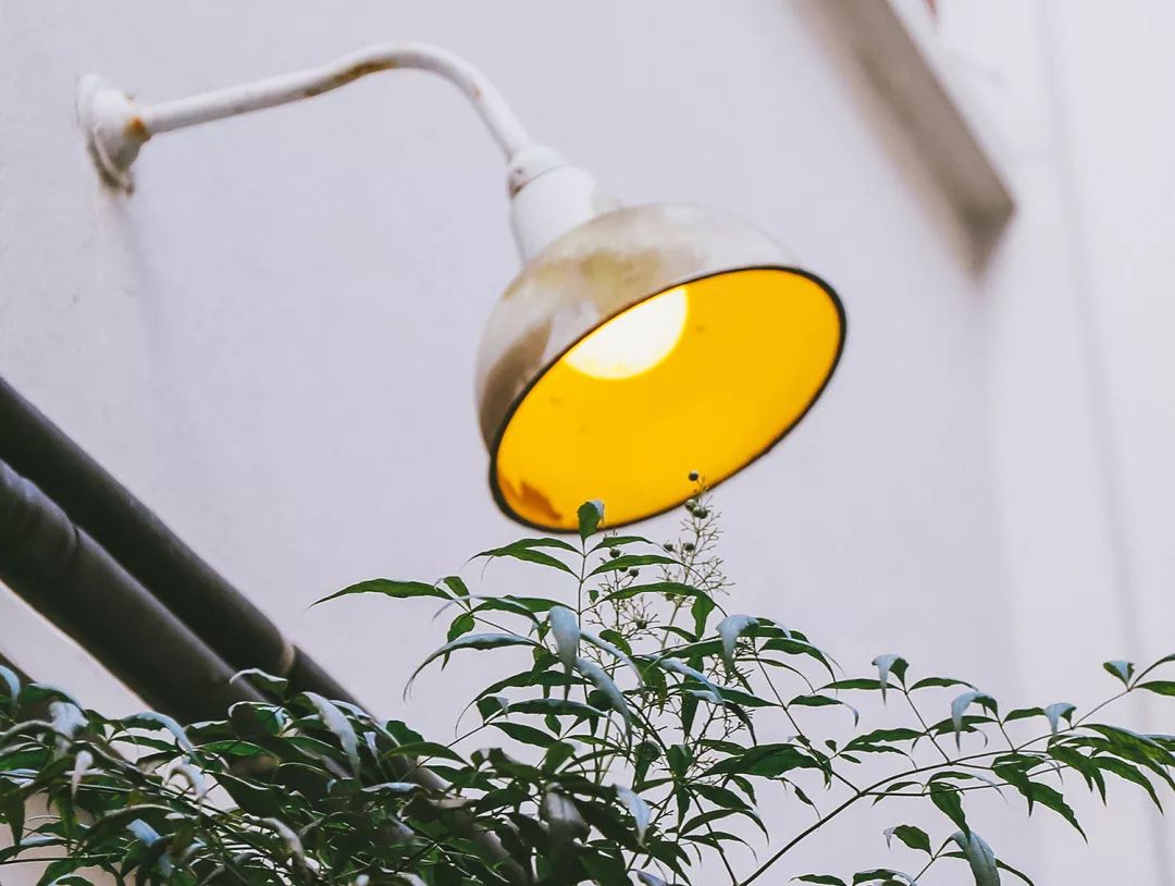 趣办空间|临窗观草木,*情纵**山水间:趣办@长乐路