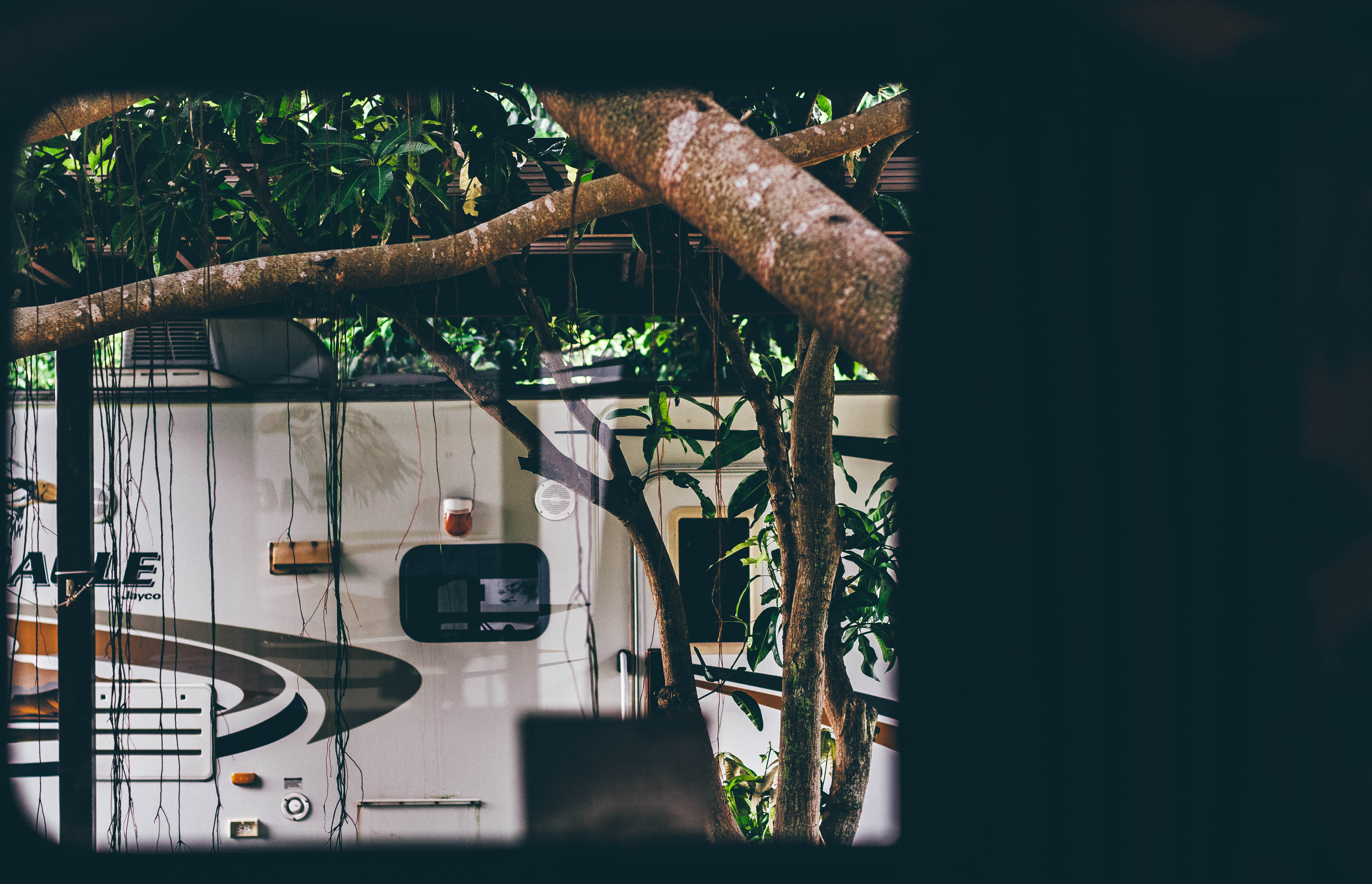 厦门鼓浪屿最好玩的海岛,火山岛厦门鼓浪屿