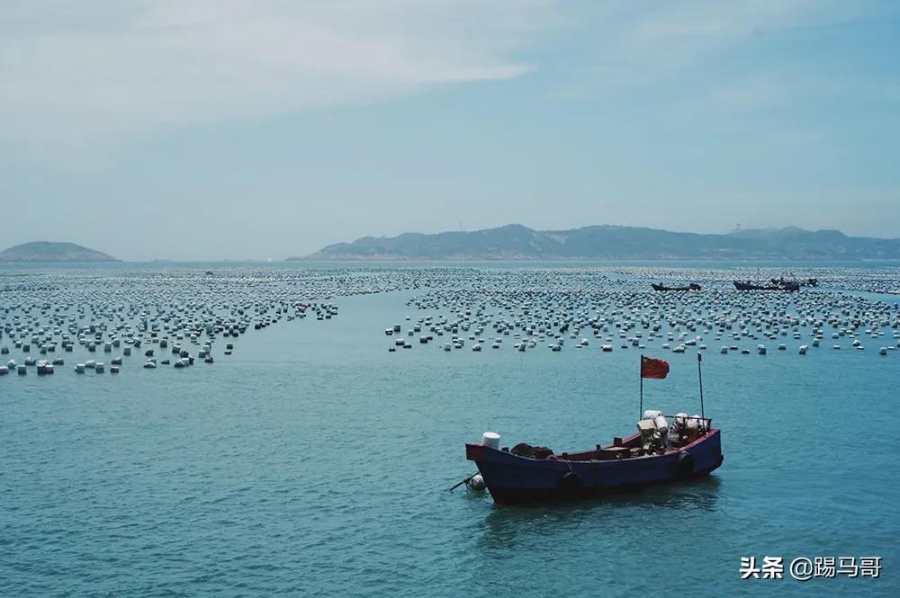 海南东极岛自由行攻略 (嵊泗列岛东极岛枸杞岛哪个值得去)