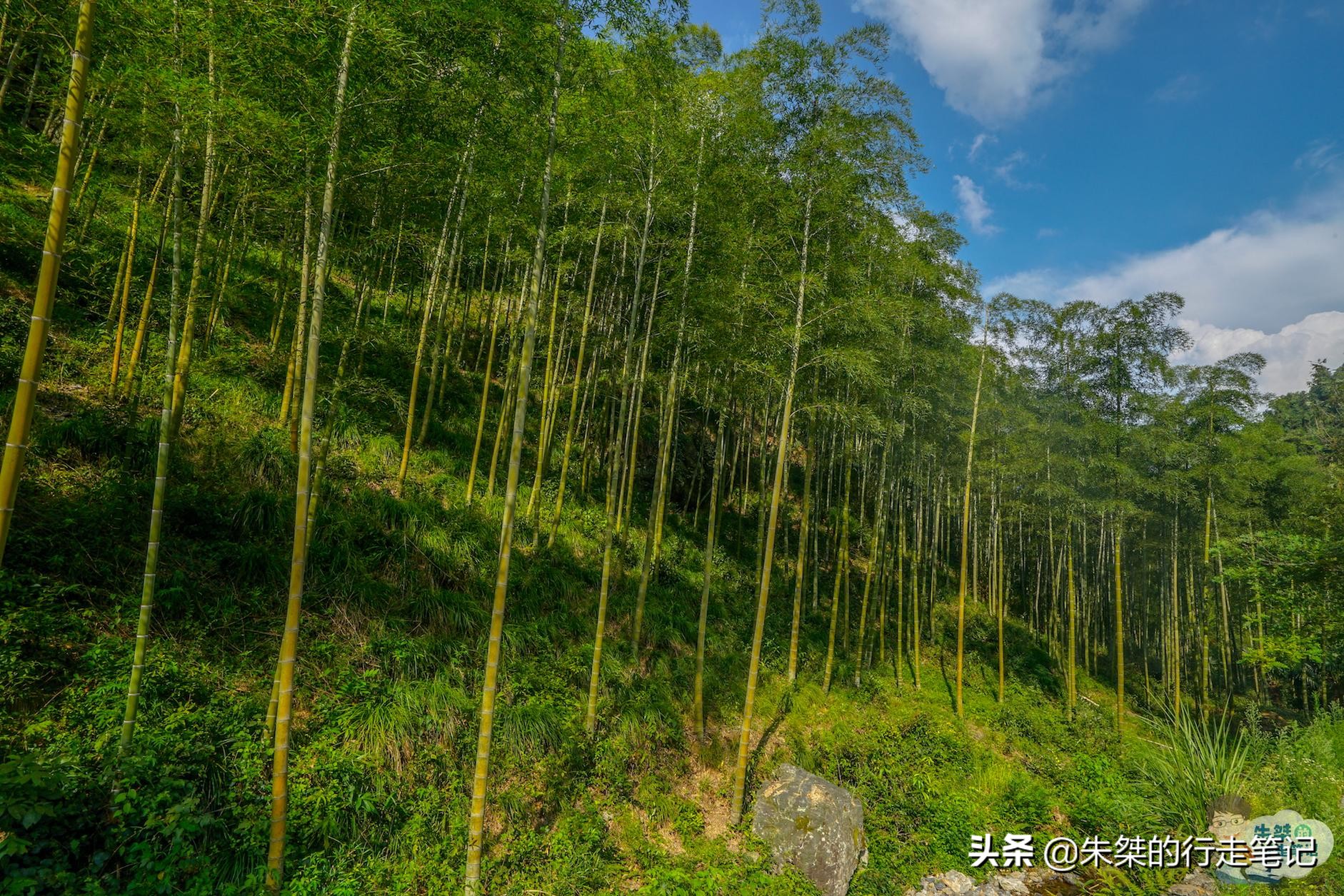 皖西大裂谷有很多山洞,皖西大裂谷景区