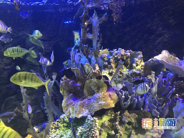 泡温泉玩水上滑梯,北京可以泡温泉又可以玩水上滑梯