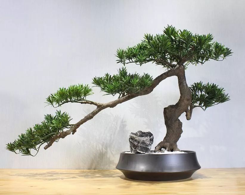 你难道还傻乎乎的认为鲜花比仿真花贵吗？