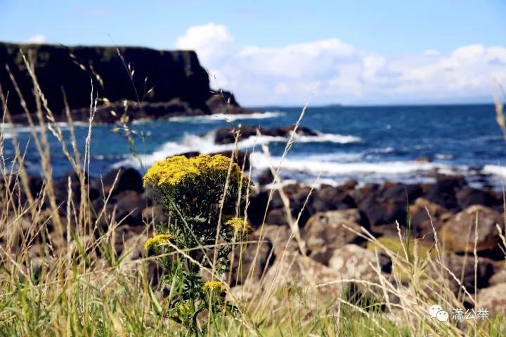 北爱尔兰巨人之路是怎样的,贝尔法斯特去巨人之路沿途风景