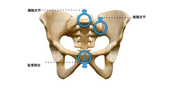 如何消除假髋,怎样纠正假髋宽