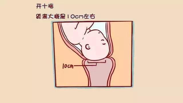 天下最伟大的母亲,儿女心中母亲最伟大