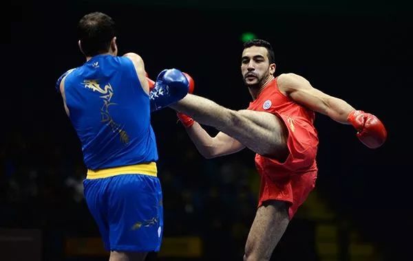 散打核心是什么,散打简短简介