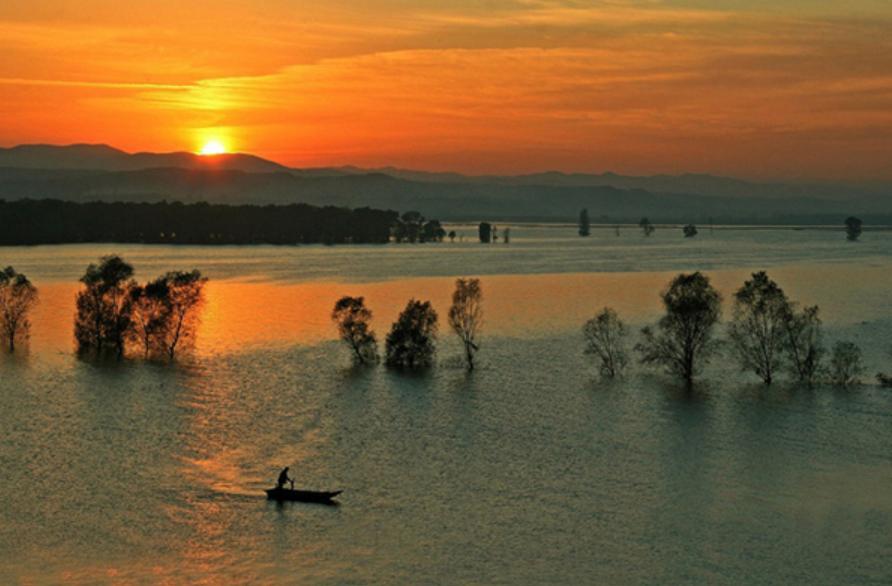 袁明忠|雪压梅枝梅压雪双铺锦地锦铺双（原创回文诗20组）