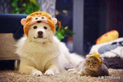 未来十年最好的能赚钱行业,必看2021年最赚钱的五大行业